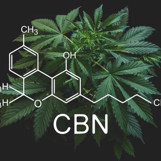 Japón incorpora el CBN a su lista de sustancias prohibidas