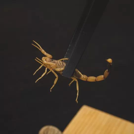 Imagen sin descripción