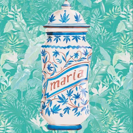 Imagen sin descripción