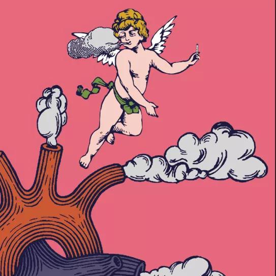 Imagen sin descripción