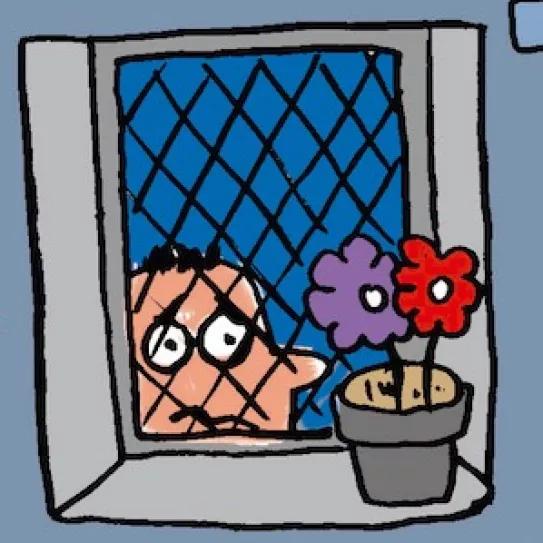 Imagen sin descripción