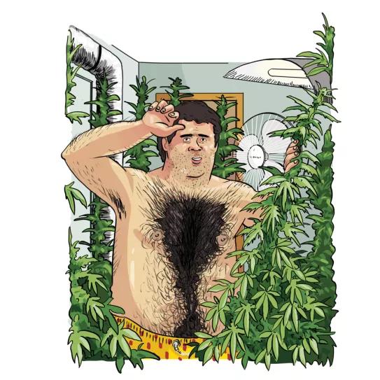 Imagen sin descripción