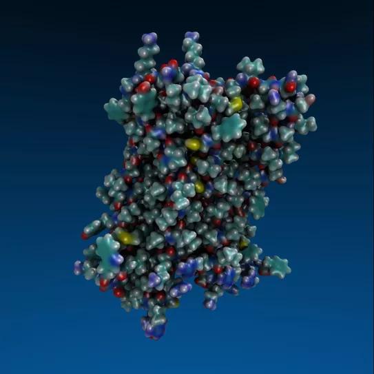 Imagen sin descripción