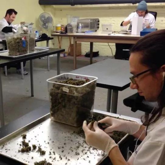 Imagen sin descripción