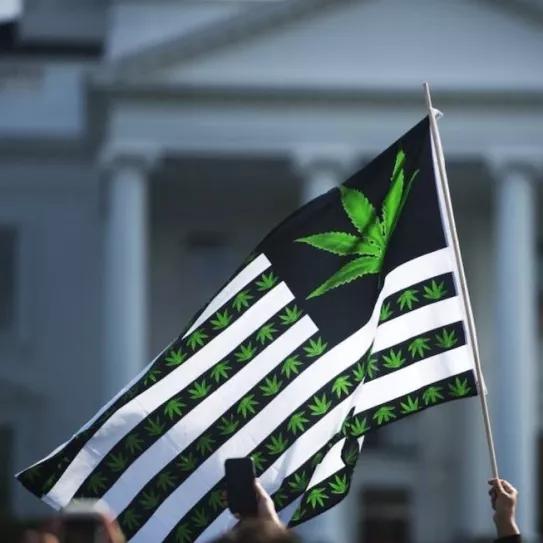 Imagen sin descripción