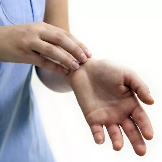 Imagen sin descripción