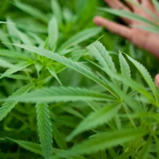 Imagen sin descripción