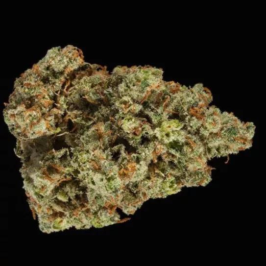 Imagen sin descripción