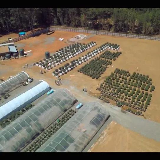 Imagen sin descripción