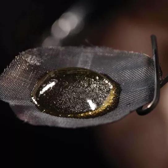 Imagen sin descripción