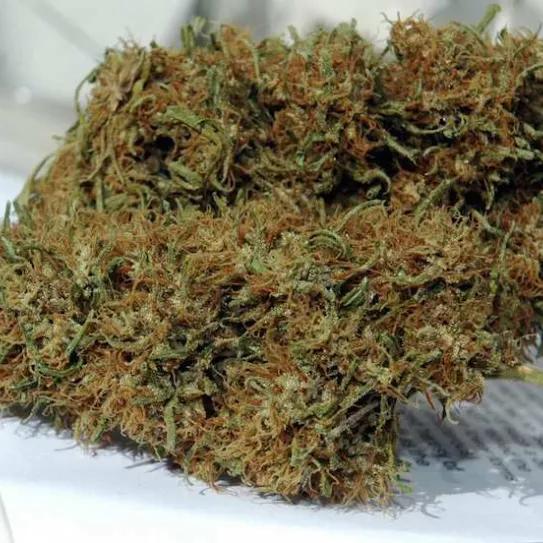 Imagen sin descripción