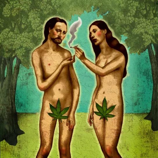 Imagen sin descripción