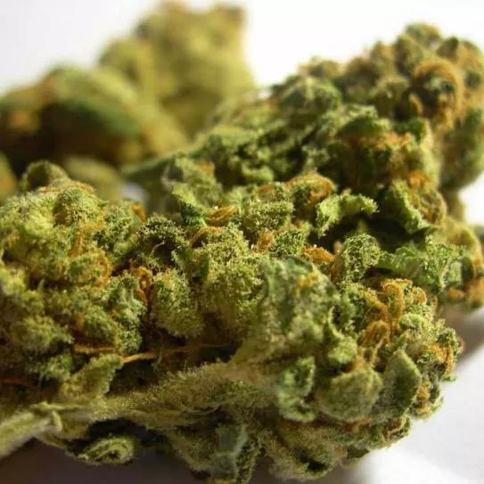 Imagen sin descripción