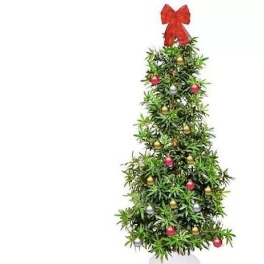 Imagen sin descripción