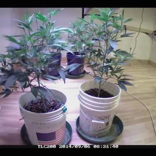 Imagen sin descripción