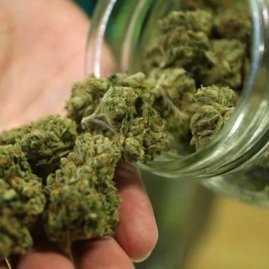 Imagen sin descripción