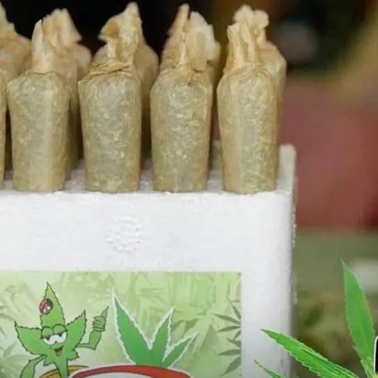 Imagen sin descripción