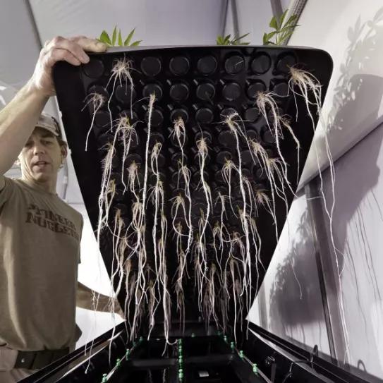 Imagen sin descripción