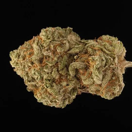 Imagen sin descripción