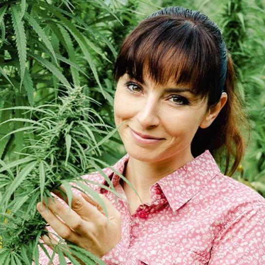 Imagen sin descripción