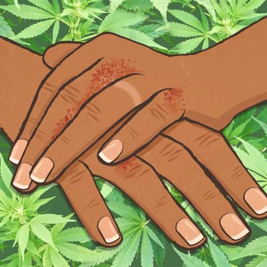 Imagen sin descripción