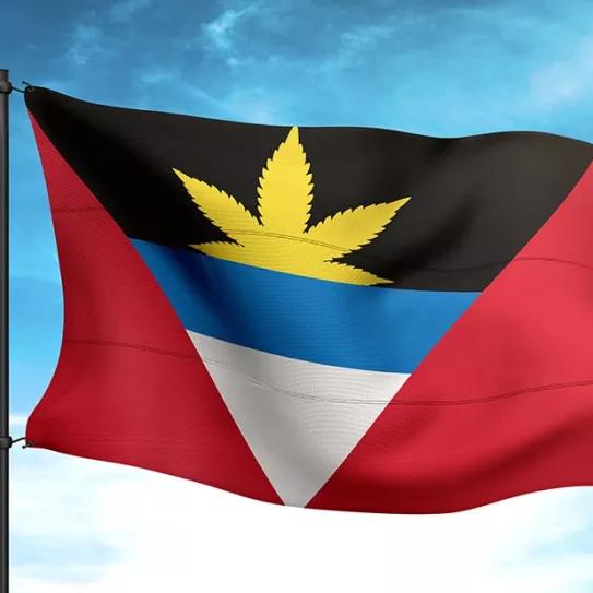 Imagen sin descripción