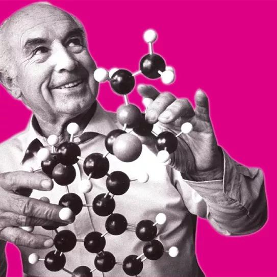 Imagen sin descripción