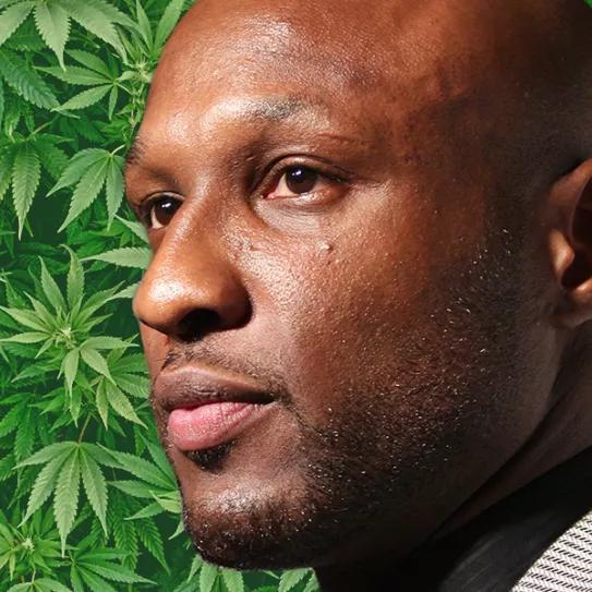 Imagen sin descripción