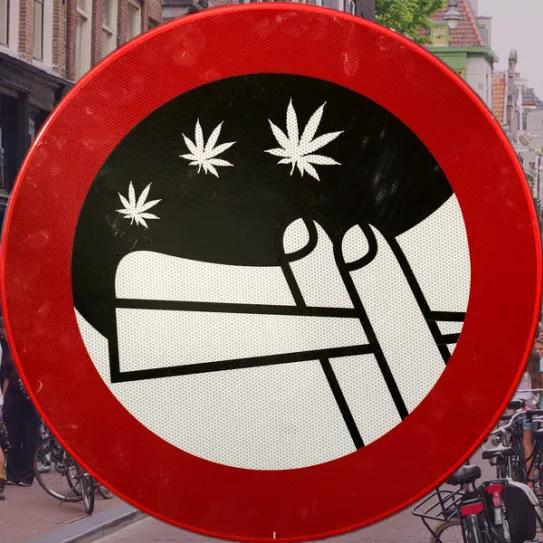 Imagen sin descripción