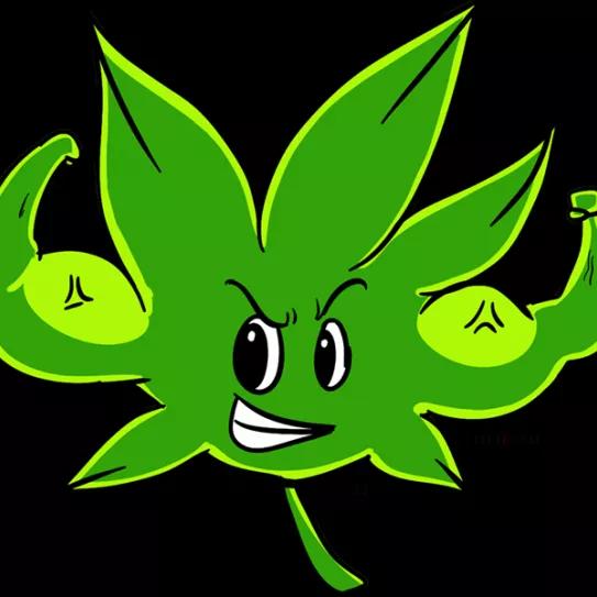 Imagen sin descripción