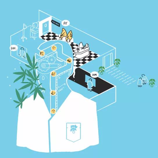 Cannabis terapéutico