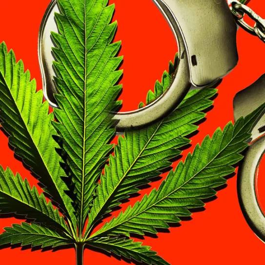 Imagen sin descripción