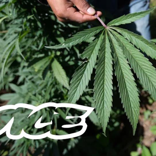 Imagen sin descripción