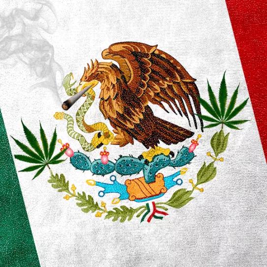 Imagen sin descripción