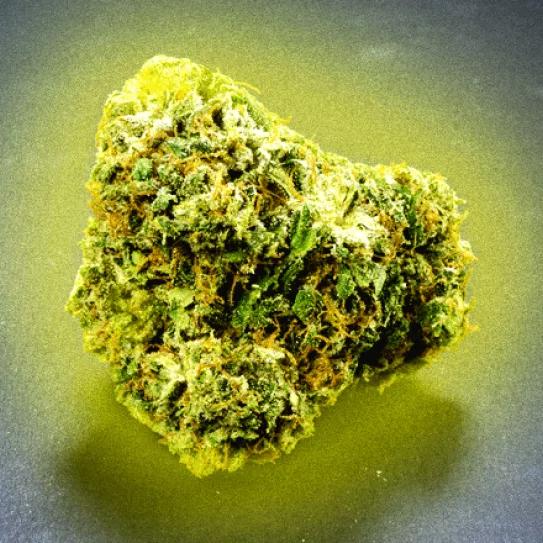 Imagen sin descripción