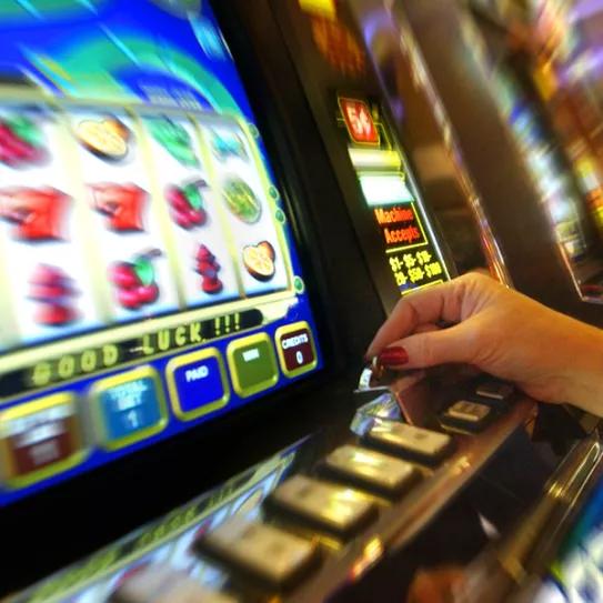 Imagen sin descripción