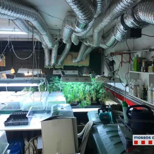 Imagen sin descripción