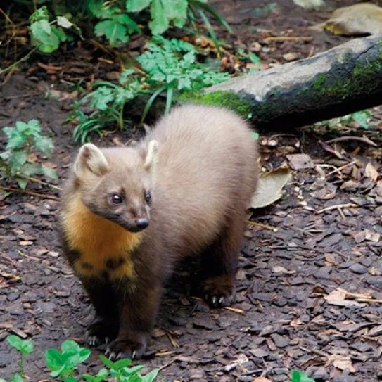 Imagen sin descripción