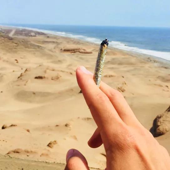 Imagen sin descripción