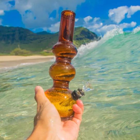 Imagen sin descripción