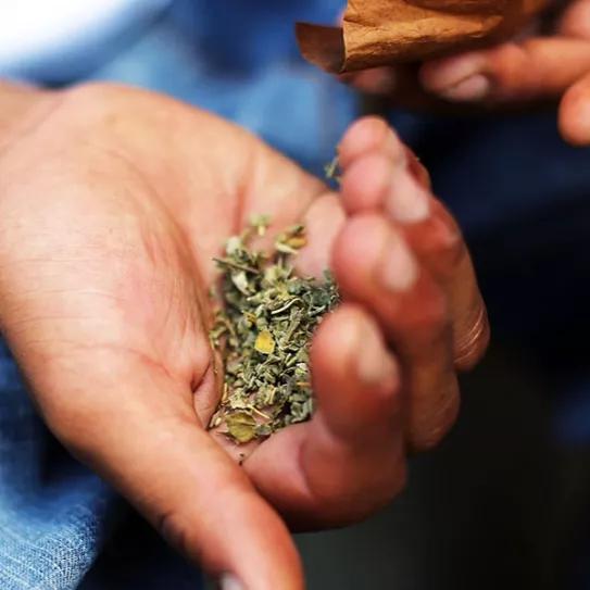 Imagen sin descripción