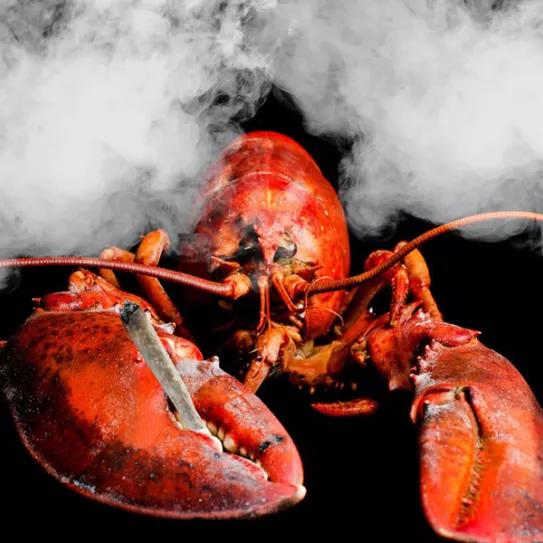 Imagen sin descripción