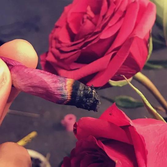 Imagen sin descripción