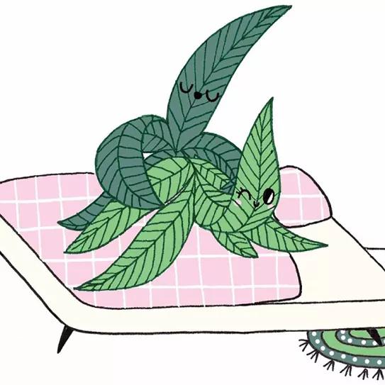 Imagen sin descripción