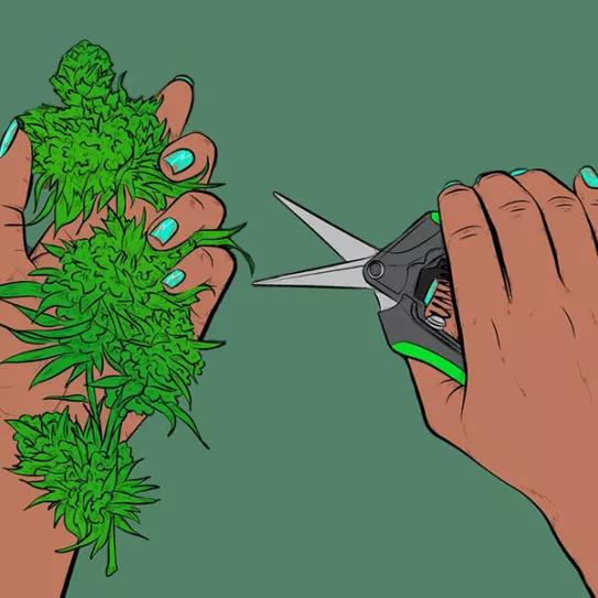 Imagen sin descripción