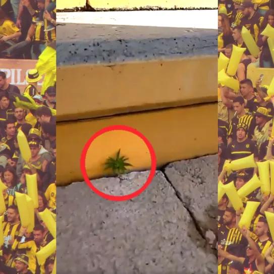 Imagen sin descripción