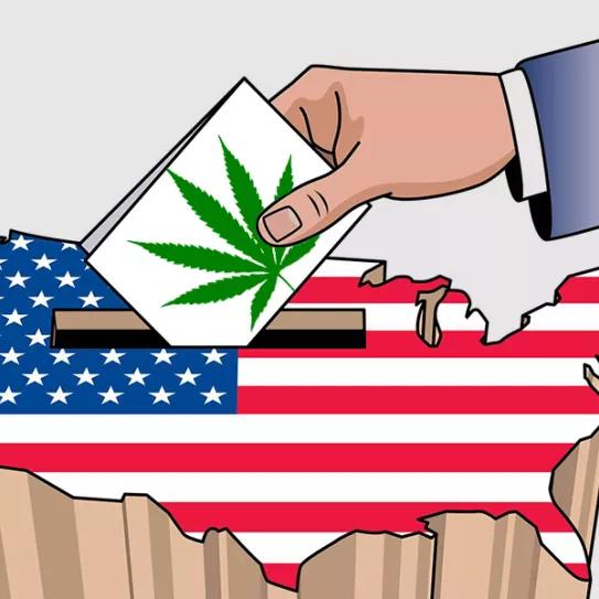 Imagen sin descripción