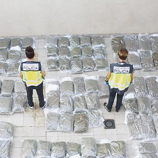 Imagen sin descripción