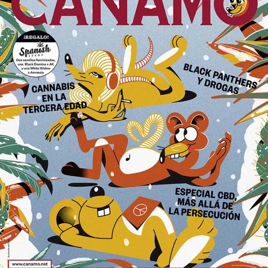 Imagen sin descripción