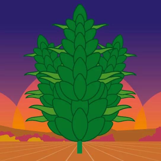 Imagen sin descripción